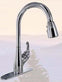 Valterra RV Kitchen Faucet W/ Spray Shutoff 8